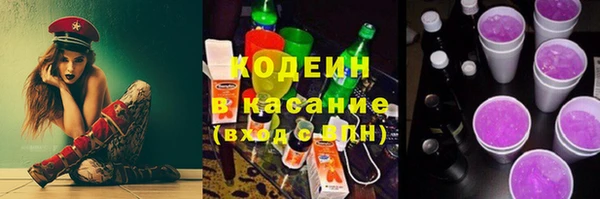 хмурый Верея