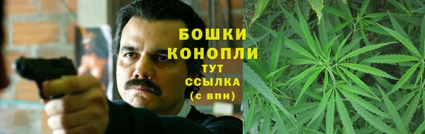 хмурый Верея