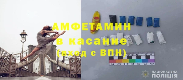 хмурый Верея