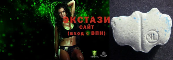 хмурый Верея