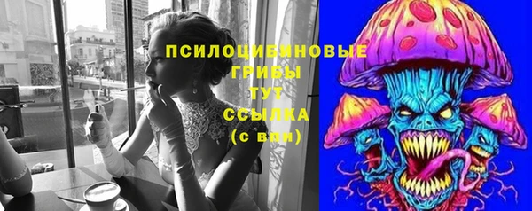 хмурый Верея
