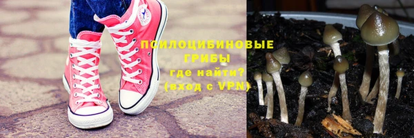 хмурый Верея