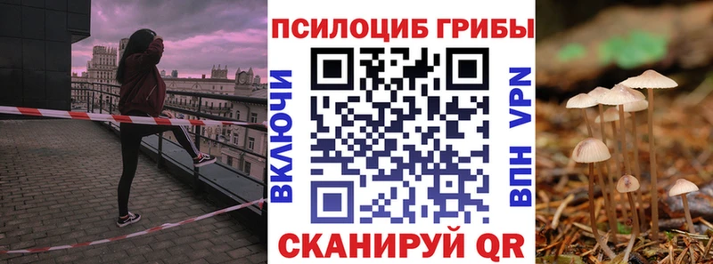 omg зеркало  Волхов  Псилоцибиновые грибы прущие грибы 