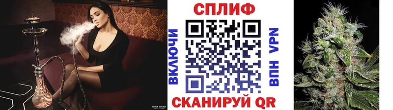 что такое наркотик  Волхов  ОМГ ОМГ   Шишки марихуана Bruce Banner 